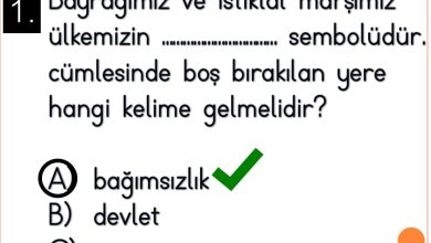 1. Sınıf Ülkemizde Hayat Ünitesi Etkinlikleri