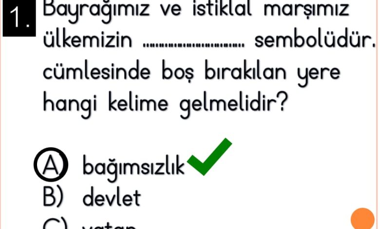 1. Sınıf Ülkemizde Hayat Ünitesi Etkinlikleri