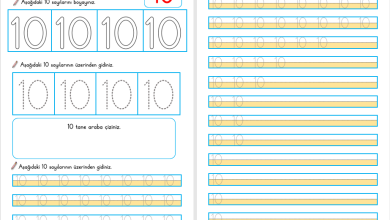 10 Sayısı Öğretimi (Yeni Müfredata Uygun)