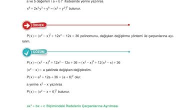 10. Sınıf Matematik Anka Yayınları Sayfa 165 Cevapları