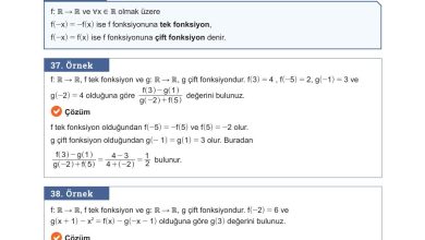 10. Sınıf Meb Yayınları Matematik Ders Kitabı Sayfa 101 Cevapları