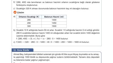 10. Sınıf Meb Yayınları Matematik Ders Kitabı Sayfa 107 Cevapları