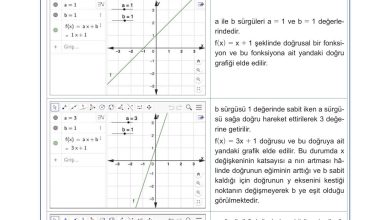 10. Sınıf Meb Yayınları Matematik Ders Kitabı Sayfa 113 Cevapları