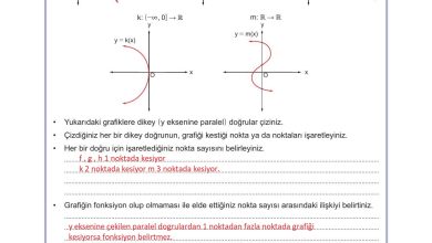 10. Sınıf Meb Yayınları Matematik Ders Kitabı Sayfa 115 Cevapları