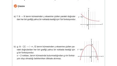 10. Sınıf Meb Yayınları Matematik Ders Kitabı Sayfa 116 Cevapları