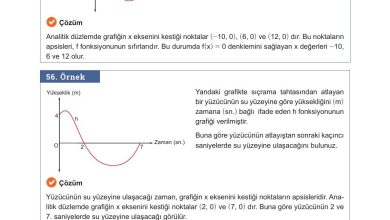 10. Sınıf Meb Yayınları Matematik Ders Kitabı Sayfa 117 Cevapları