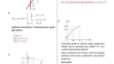 10. Sınıf Meb Yayınları Matematik Ders Kitabı Sayfa 120 Cevapları