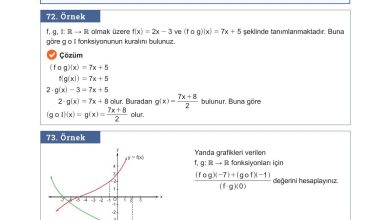 10. Sınıf Meb Yayınları Matematik Ders Kitabı Sayfa 130 Cevapları