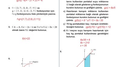 10. Sınıf Meb Yayınları Matematik Ders Kitabı Sayfa 131 Cevapları