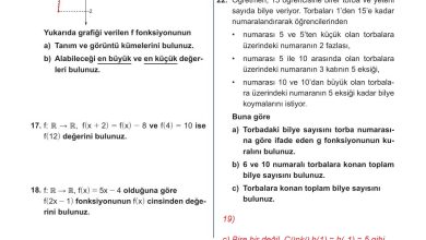 10. Sınıf Meb Yayınları Matematik Ders Kitabı Sayfa 146 Cevapları