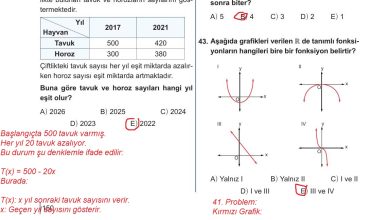 10. Sınıf Meb Yayınları Matematik Ders Kitabı Sayfa 150 Cevapları