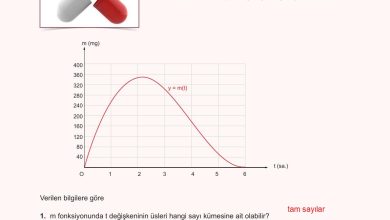 10. Sınıf Meb Yayınları Matematik Ders Kitabı Sayfa 154 Cevapları