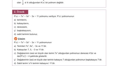 10. Sınıf Meb Yayınları Matematik Ders Kitabı Sayfa 156 Cevapları