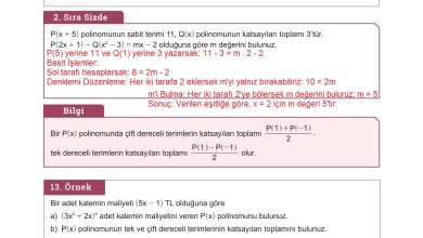 10. Sınıf Meb Yayınları Matematik Ders Kitabı Sayfa 161 Cevapları