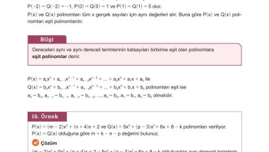 10. Sınıf Meb Yayınları Matematik Ders Kitabı Sayfa 163 Cevapları