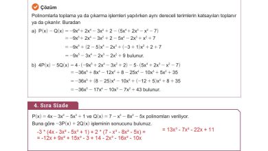 10. Sınıf Meb Yayınları Matematik Ders Kitabı Sayfa 166 Cevapları