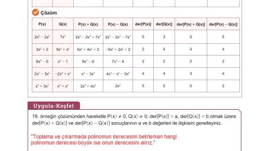 10. Sınıf Meb Yayınları Matematik Ders Kitabı Sayfa 167 Cevapları