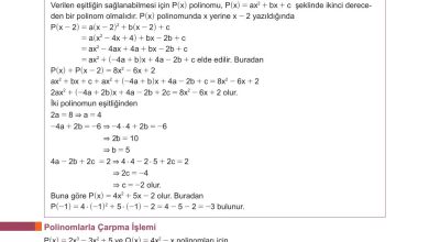 10. Sınıf Meb Yayınları Matematik Ders Kitabı Sayfa 168 Cevapları