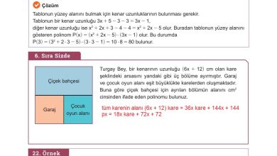 10. Sınıf Meb Yayınları Matematik Ders Kitabı Sayfa 169 Cevapları