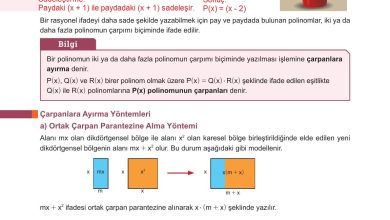 10. Sınıf Meb Yayınları Matematik Ders Kitabı Sayfa 178 Cevapları