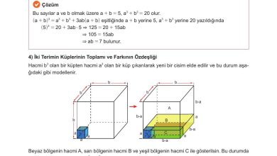 10. Sınıf Meb Yayınları Matematik Ders Kitabı Sayfa 183 Cevapları