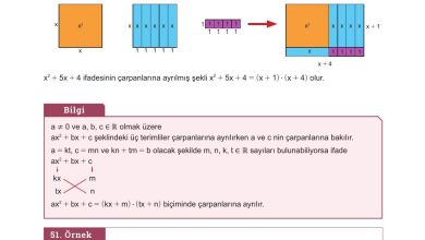 10. Sınıf Meb Yayınları Matematik Ders Kitabı Sayfa 184 Cevapları