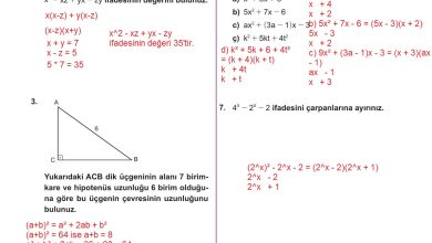 10. Sınıf Meb Yayınları Matematik Ders Kitabı Sayfa 187 Cevapları