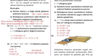 10. Sınıf Meb Yayınları Matematik Ders Kitabı Sayfa 193 Cevapları