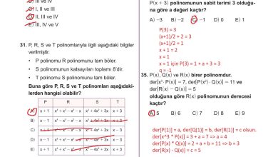 10. Sınıf Meb Yayınları Matematik Ders Kitabı Sayfa 194 Cevapları