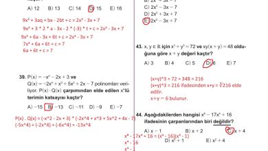 10. Sınıf Meb Yayınları Matematik Ders Kitabı Sayfa 195 Cevapları