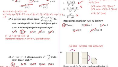 10. Sınıf Meb Yayınları Matematik Ders Kitabı Sayfa 196 Cevapları