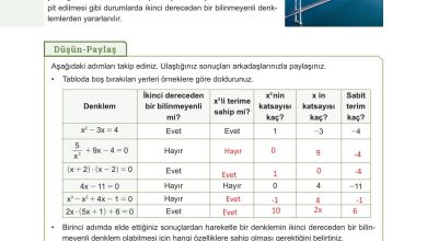 10. Sınıf Meb Yayınları Matematik Ders Kitabı Sayfa 199 Cevapları