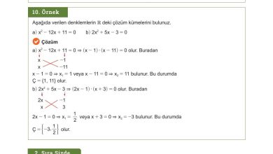 10. Sınıf Meb Yayınları Matematik Ders Kitabı Sayfa 204 Cevapları