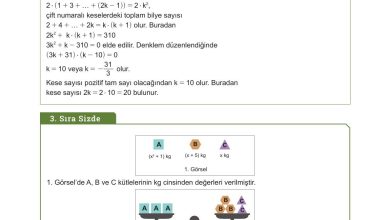 10. Sınıf Meb Yayınları Matematik Ders Kitabı Sayfa 205 Cevapları