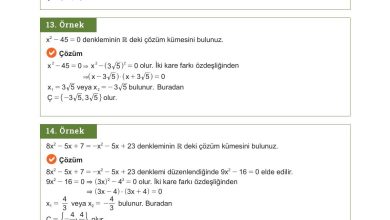 10. Sınıf Meb Yayınları Matematik Ders Kitabı Sayfa 206 Cevapları