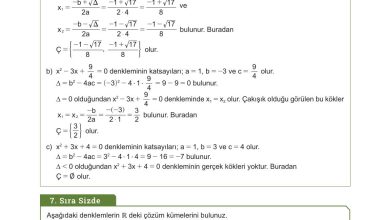 10. Sınıf Meb Yayınları Matematik Ders Kitabı Sayfa 211 Cevapları