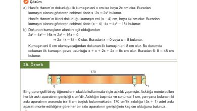 10. Sınıf Meb Yayınları Matematik Ders Kitabı Sayfa 213 Cevapları