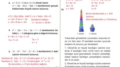 10. Sınıf Meb Yayınları Matematik Ders Kitabı Sayfa 214 Cevapları