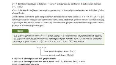 10. Sınıf Meb Yayınları Matematik Ders Kitabı Sayfa 215 Cevapları