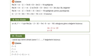 10. Sınıf Meb Yayınları Matematik Ders Kitabı Sayfa 216 Cevapları