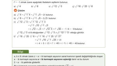 10. Sınıf Meb Yayınları Matematik Ders Kitabı Sayfa 217 Cevapları