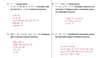 10. Sınıf Meb Yayınları Matematik Ders Kitabı Sayfa 219 Cevapları