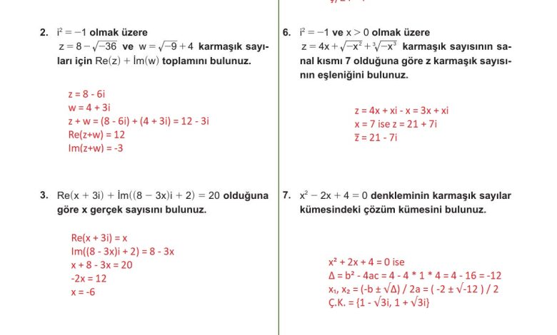 10. Sınıf Meb Yayınları Matematik Ders Kitabı Sayfa 219 Cevapları