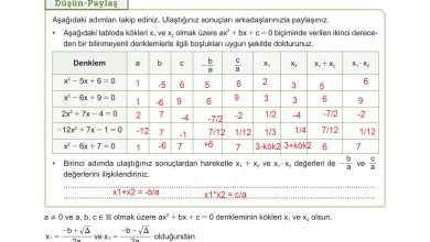 10. Sınıf Meb Yayınları Matematik Ders Kitabı Sayfa 220 Cevapları