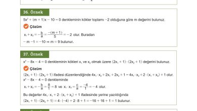 10. Sınıf Meb Yayınları Matematik Ders Kitabı Sayfa 221 Cevapları