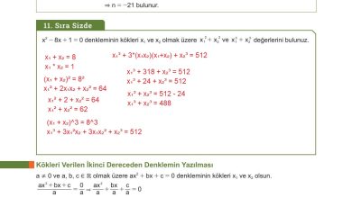 10. Sınıf Meb Yayınları Matematik Ders Kitabı Sayfa 223 Cevapları