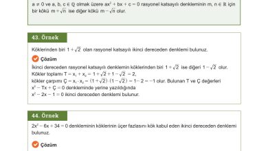 10. Sınıf Meb Yayınları Matematik Ders Kitabı Sayfa 224 Cevapları