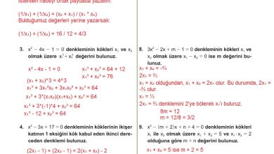 10. Sınıf Meb Yayınları Matematik Ders Kitabı Sayfa 225 Cevapları