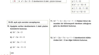 10. Sınıf Meb Yayınları Matematik Ders Kitabı Sayfa 226 Cevapları