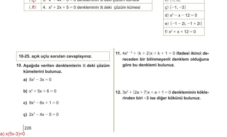 10. Sınıf Meb Yayınları Matematik Ders Kitabı Sayfa 226 Cevapları